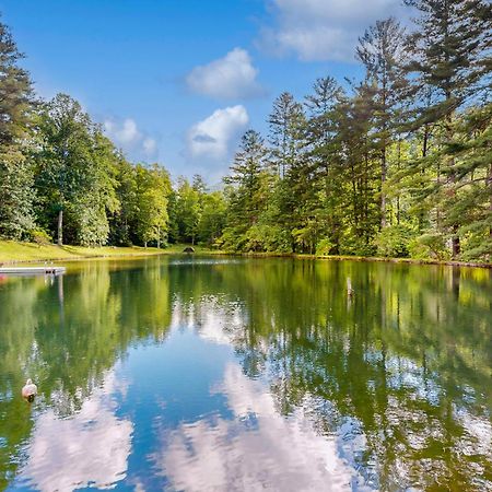 애쉬빌 Bull Creek Peaceful Escape 빌라 외부 사진