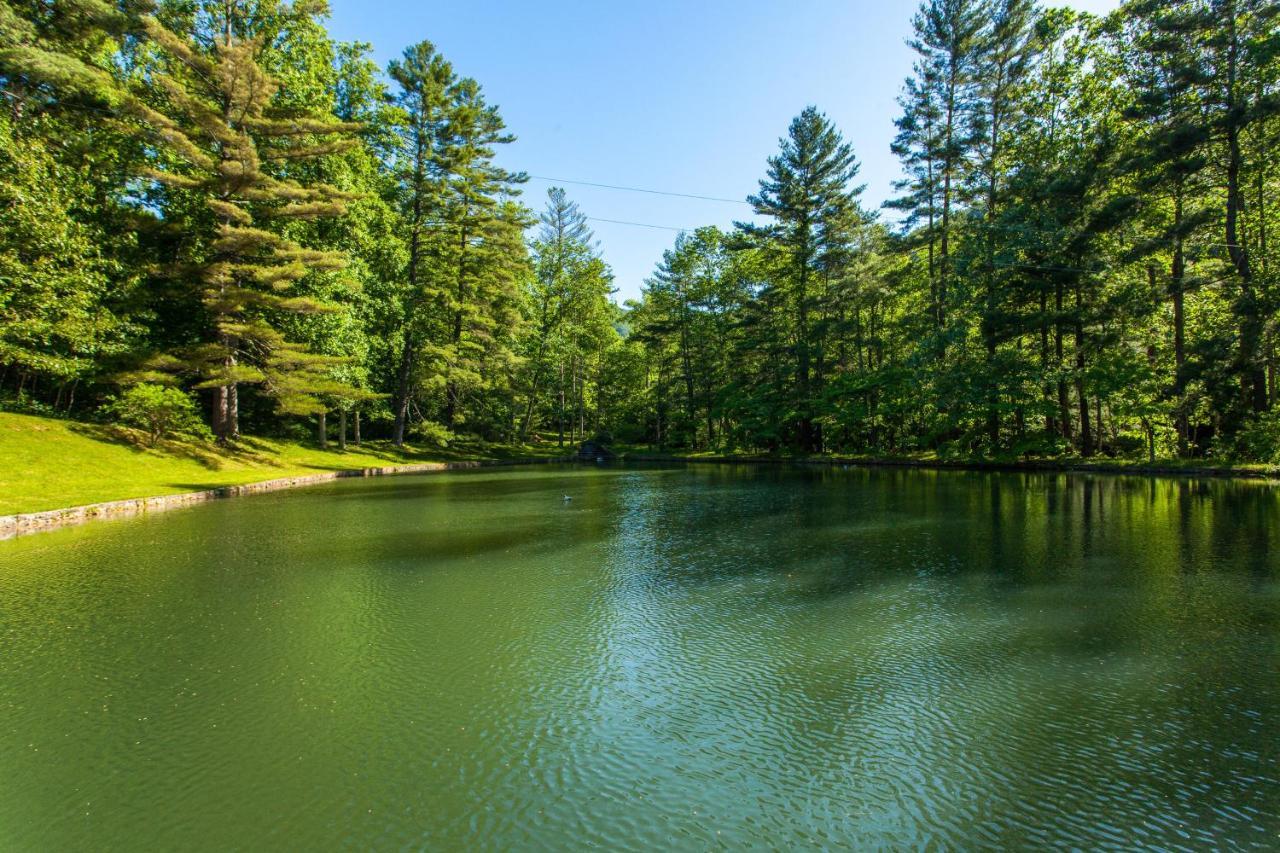 애쉬빌 Bull Creek Peaceful Escape 빌라 외부 사진