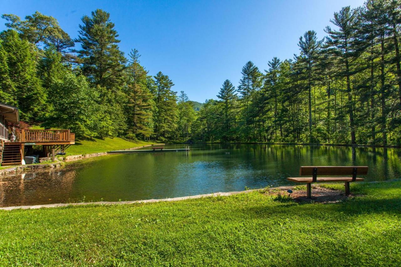 애쉬빌 Bull Creek Peaceful Escape 빌라 외부 사진
