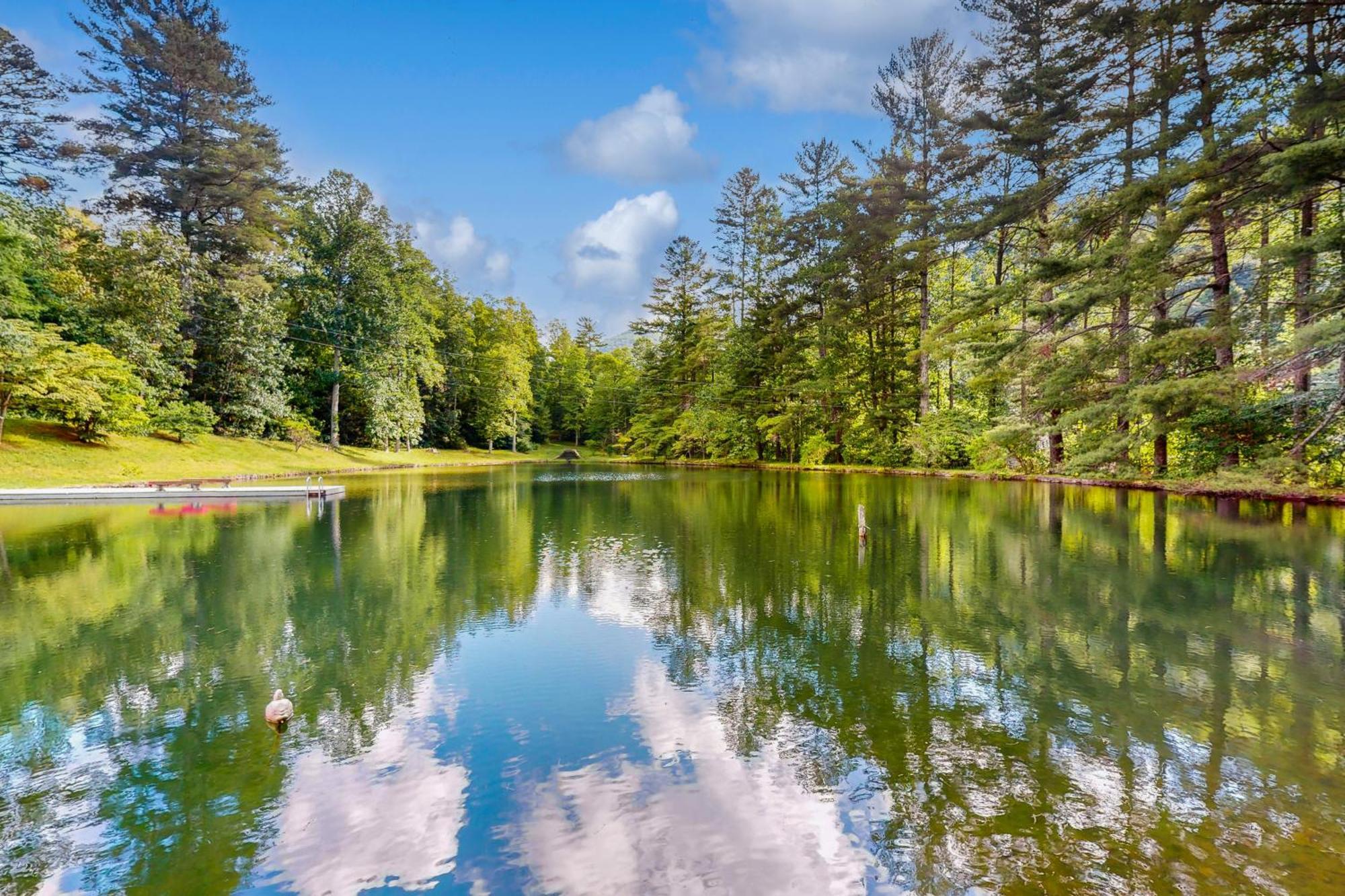 애쉬빌 Bull Creek Peaceful Escape 빌라 외부 사진